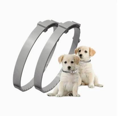 Adjustable insect repellent collar for pets